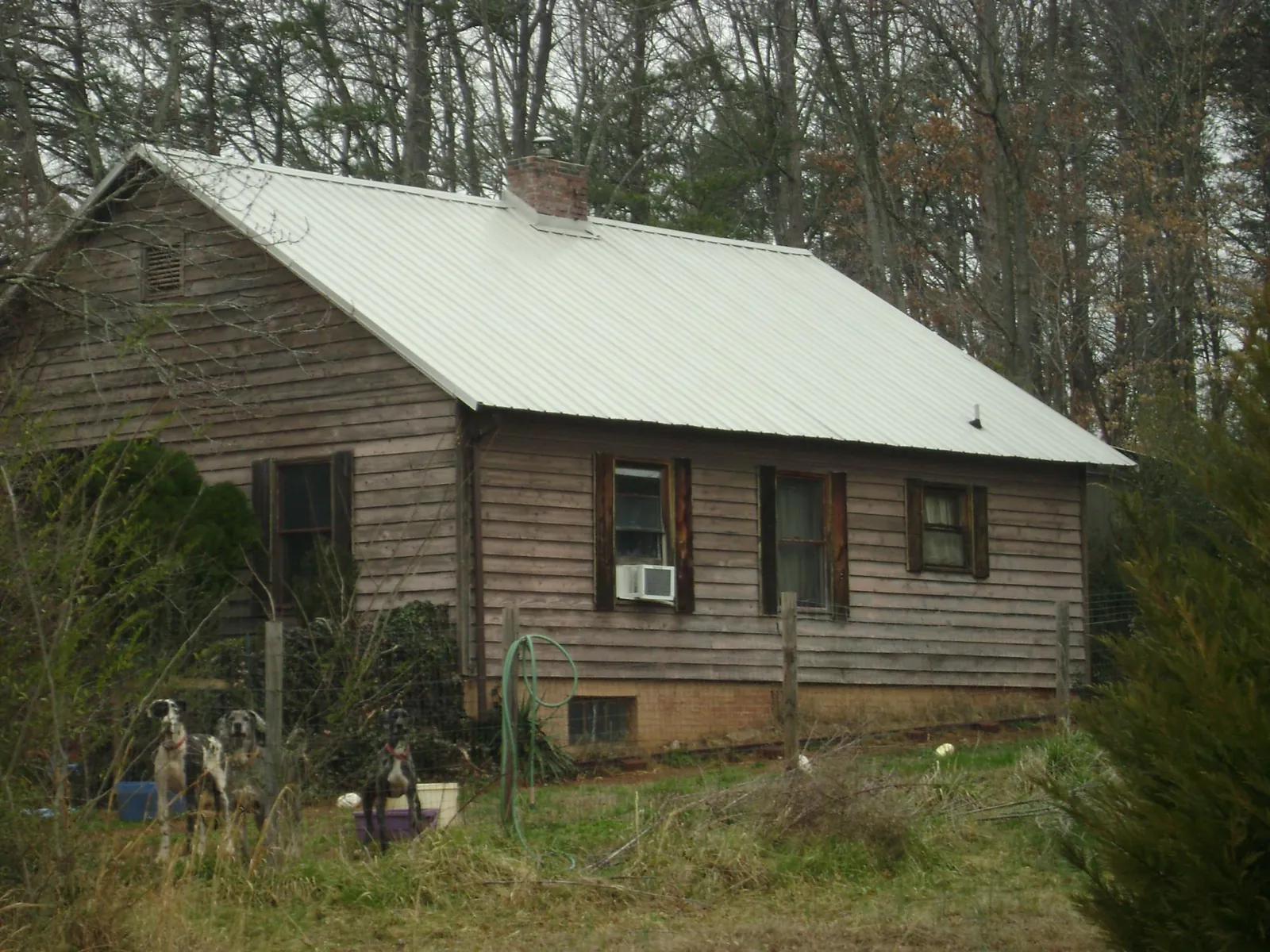White metal roof on an old wood sided farmhouse, from a Metal Roof Installation job in Congerville